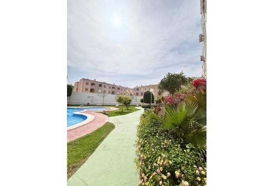 Reventa - Apartamento / piso - Torrevieja - Playa Acequion