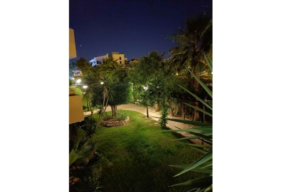 Reventa - Apartamento / piso - Punta Prima