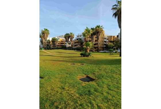 Reventa - Apartamento / piso - Punta Prima