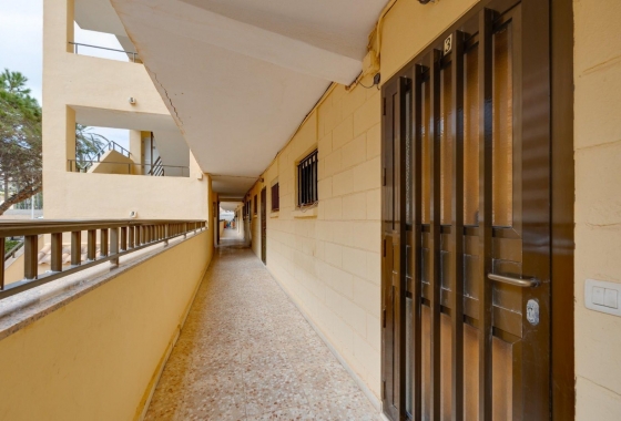 Rynek Wtórny - Apartament - La Mata
