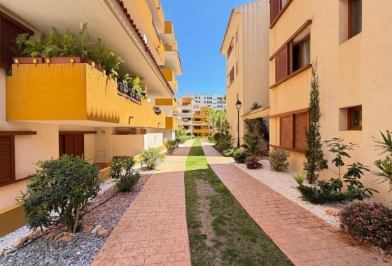 Resale - Apartment / flat - Torrevieja - Punta prima