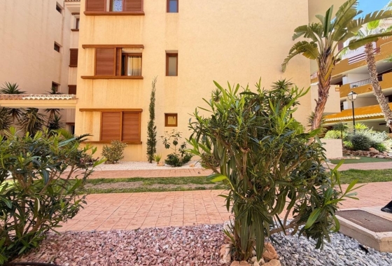 Resale - Apartment / flat - Torrevieja - Punta prima