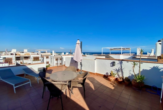 Rynek Wtórny - Bungalow - Torrevieja - La Mata pueblo