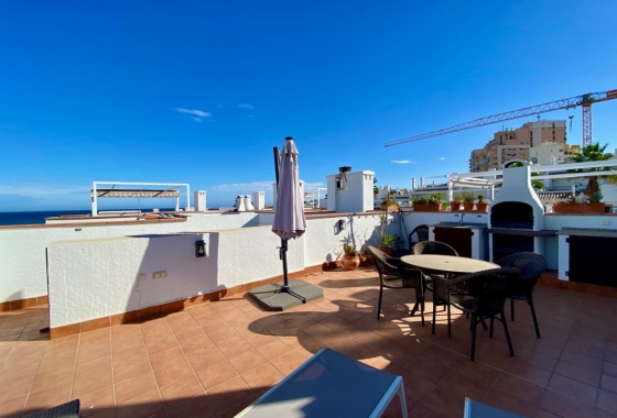 Rynek Wtórny - Bungalow - Torrevieja - La Mata pueblo