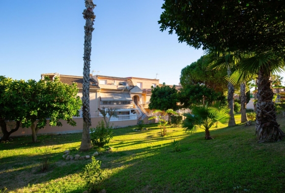 Reventa - Apartamento / piso - Torrevieja - Torreblanca