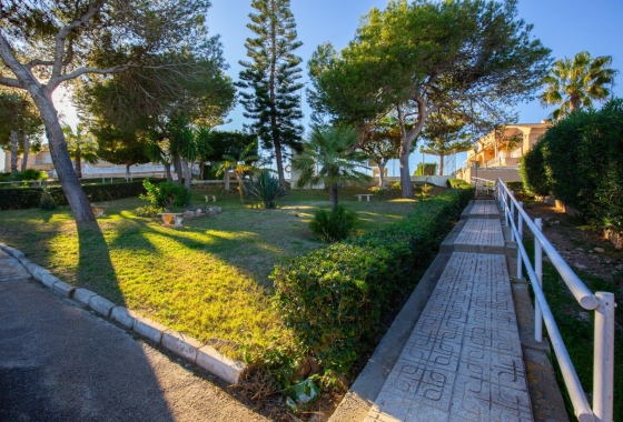 Reventa - Apartamento / piso - Torrevieja - Torreblanca