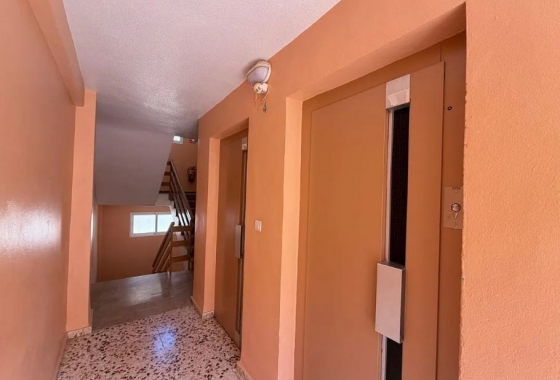 Rynek Wtórny - Apartament - Torrevieja - Punta prima