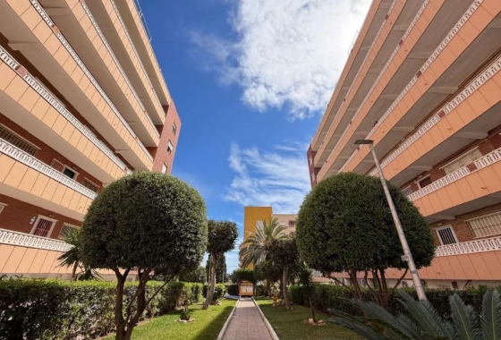Rynek Wtórny - Apartament - Torrevieja - Punta prima
