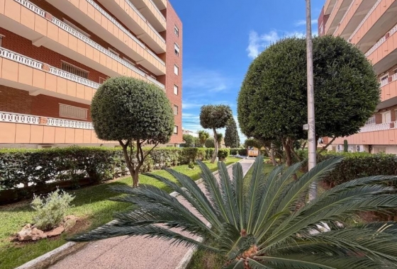 Rynek Wtórny - Apartament - Torrevieja - Punta prima