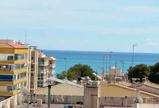 Rynek Wtórny - Apartament - Torrevieja - Punta prima