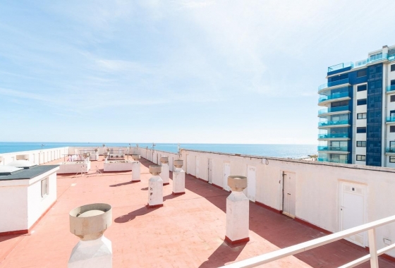 Reventa - Apartamento / piso - Torrevieja - Punta prima
