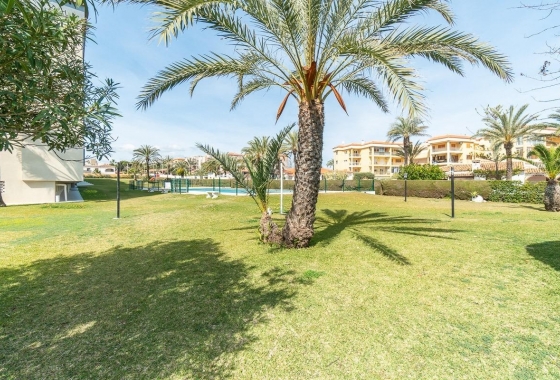 Reventa - Apartamento / piso - Torrevieja - Punta prima