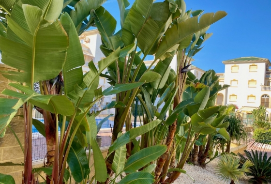 Reventa - Duplex - La Mata