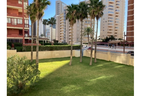Rynek Wtórny - Apartament - Calpe - Zona Playa del Bol - Puerto