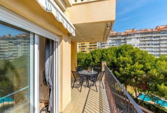 Reventa - Apartamento / piso - Dehesa De Campoamor