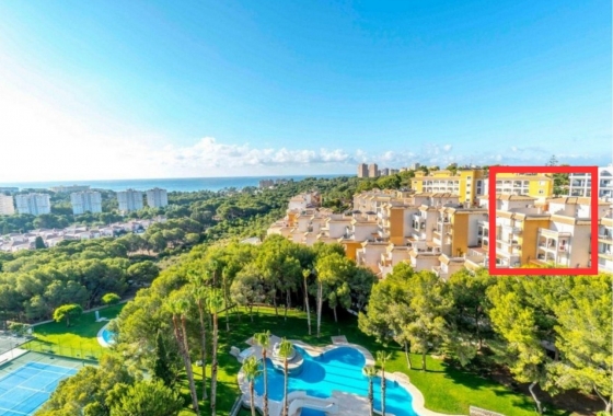 Reventa - Apartamento / piso - Dehesa De Campoamor