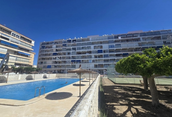 Resale - Apartment / flat - Torrevieja - Playa Acequion