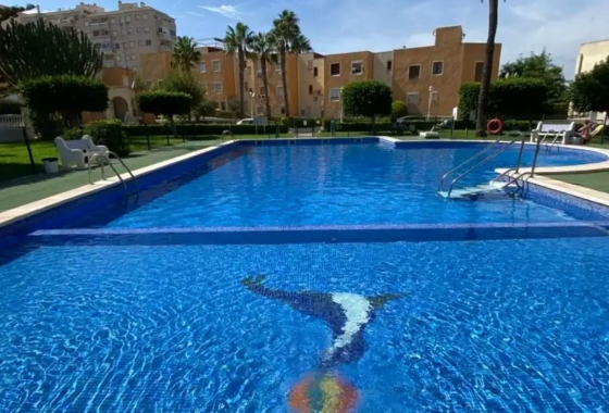 Resale - Penthouse - La Mata