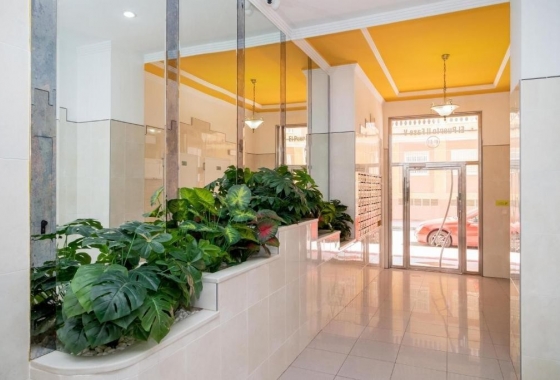 Resale - Apartment / flat - Torrevieja - Parque de Las Naciones