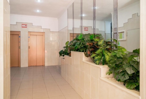 Resale - Apartment / flat - Torrevieja - Parque de Las Naciones