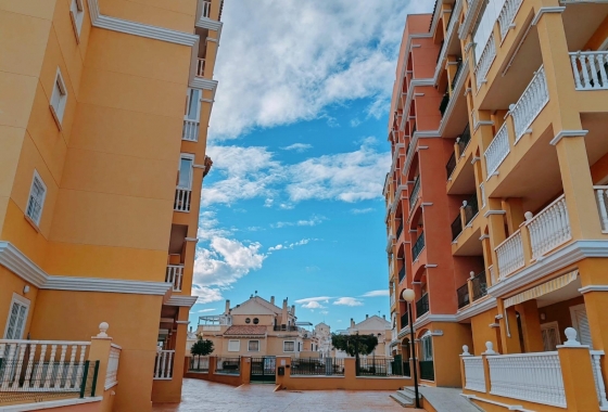 Obra nueva - Ático - Torrevieja - Torreblanca