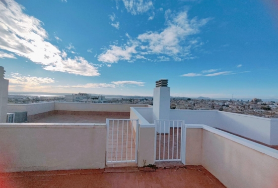 Obra nueva - Ático - Torrevieja - Torreblanca