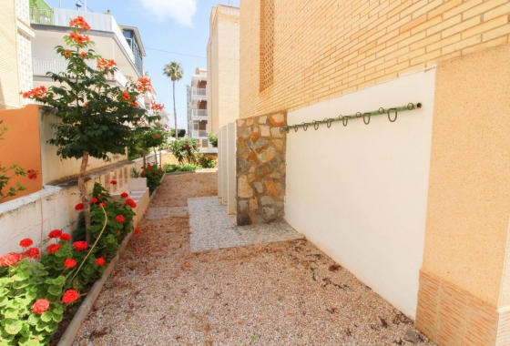 Rynek Wtórny - Apartament - Santa Pola - Gran Playa