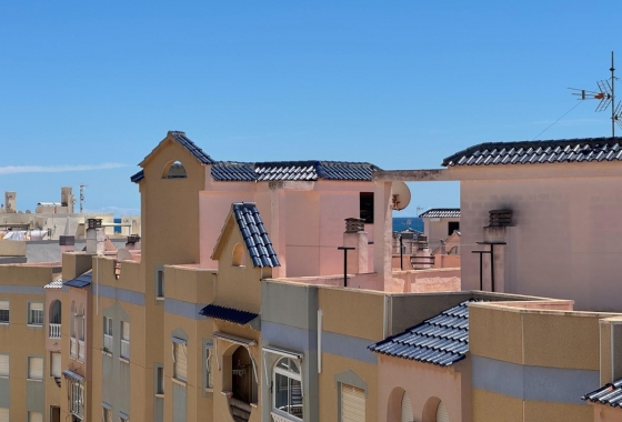 Resale - Apartment / flat - Torrevieja - LA MATA