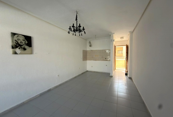 Reventa - Estudio - Torrevieja - La Siesta - El Salado -  Torreta