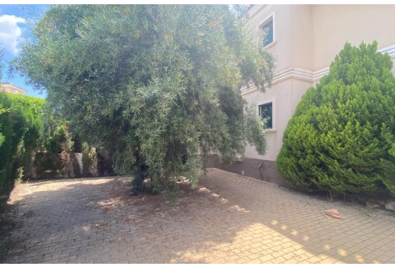 Resale - Bungalow - Ciudad Quesada