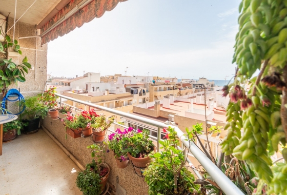 Reventa - Apartamento / piso - Torrevieja - PLAYA LOS LOCOS