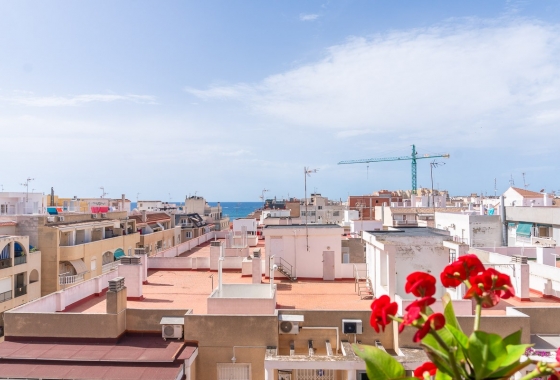Reventa - Apartamento / piso - Torrevieja - PLAYA LOS LOCOS