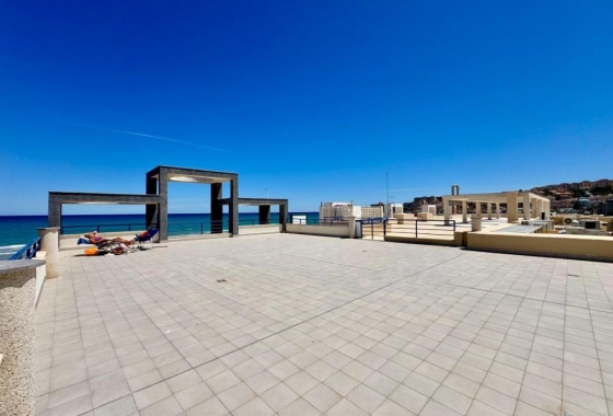 Reventa - Apartamento / piso - Torrevieja - LA MATA