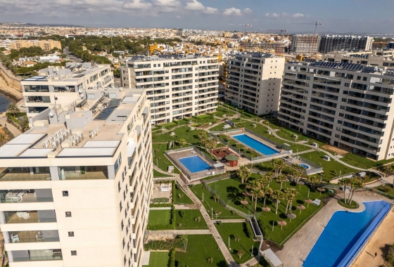 Rynek Wtórny - Apartament - Torrevieja - Punta prima