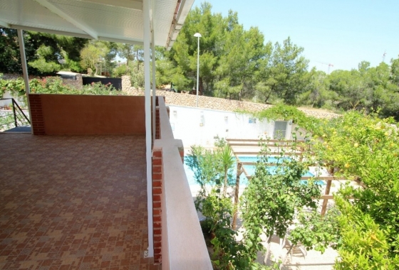 Rynek Wtórny - Willa - Torrevieja - Torrevieja - Los Balcones