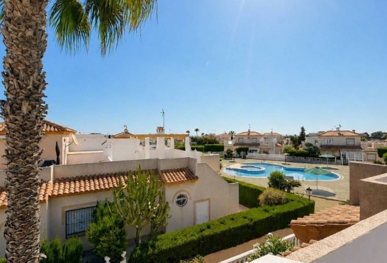 Rynek Wtórny - Bliźniak - Orihuela Costa - Los Altos