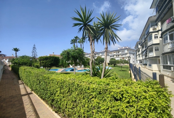 Reventa - Apartamento / piso - Torrevieja - LA MATA