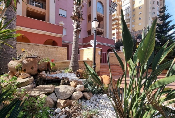 Rynek Wtórny - Apartament - Torrevieja - Torrevieja - Playa de los Locos
