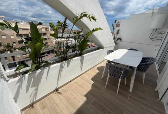 Rynek Wtórny - Apartament - Torrevieja - Centrum