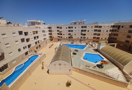 Rynek Wtórny - Apartament - Torrevieja - Centrum