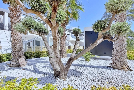 Reventa - Ático - Orihuela Costa - Punta Prima