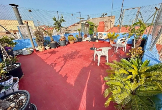 Reventa - Finca - Orihuela Costa - Orihuela