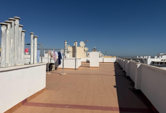 Rynek Wtórny - Apartament - Torrevieja - Centrum