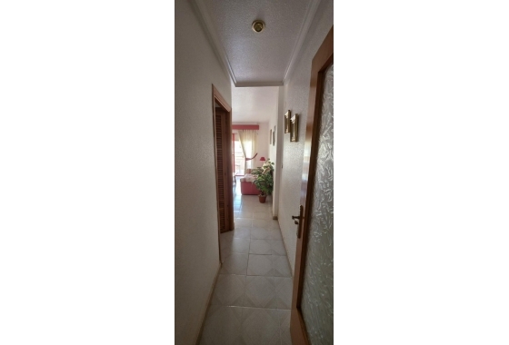 Rynek Wtórny - Apartament - Torrevieja - Playa del Cura