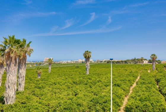 Reventa - Adosado - Torrevieja - Los Balcones