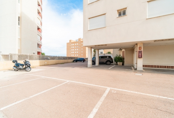 Rynek Wtórny - Apartament - Guardamar del Segura - Guardamar Playa