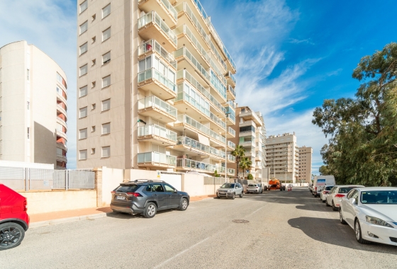 Rynek Wtórny - Apartament - Guardamar del Segura - Guardamar Playa