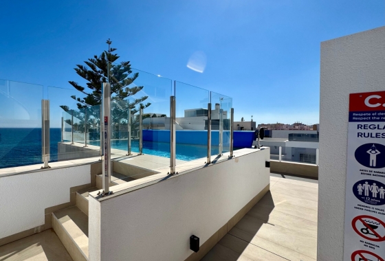 Rynek Wtórny - Apartament - Torrevieja - Torrevieja - Playa de los Locos