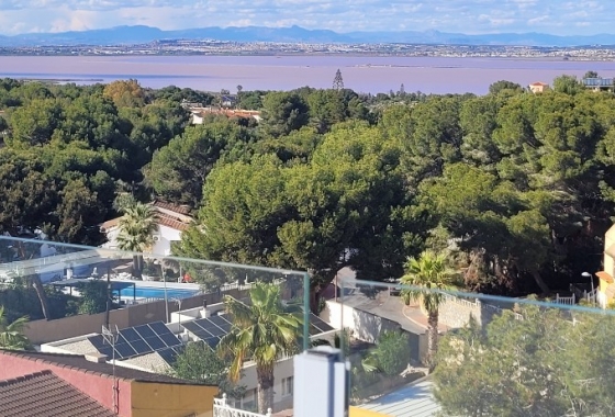 Deweloperskie - Willa - Orihuela Costa - Los Altos