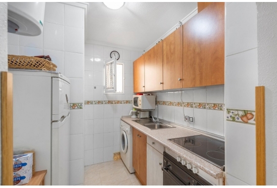 Rynek Wtórny - Apartament - Torrevieja - Torrevieja - Playa del Cura